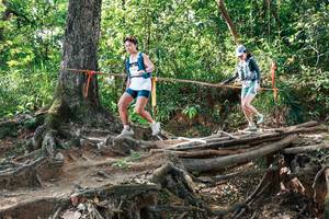 BIB: 
                            <button type="button" onclick="openModal(27558581)" class="btn btn-primary btn-sm float-right btn-popup" data-toggle="modal" data-target=".modal-high-quality">
                        <i class="fas fa-shopping-cart"></i> Add to Cart
                    </button>
                                            <button type="button" onclick="isThisMe(27558581, true)" class="btn btn-success btn-sm float-right btn-popup btn-isme hidden" data-toggle="tooltip" data-placement="bottom" title="นี่คือรูปของคุณใช่ไหม คลิกที่นี่เพื่อเอาเข้าอัลบั้ม">
                        <i class="fas fa-plus"></i> Add to album
                    </button>
                    <button type="button" onclick="isThisMe(27558581, false)" class="btn btn-warning btn-sm float-right btn-popup btn-isnotme hidden">
                        <i class="fas fa-ban"></i> Remove from album
                    </button>